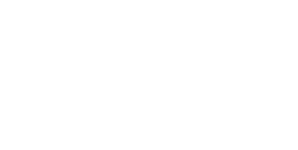 Lavons Holic